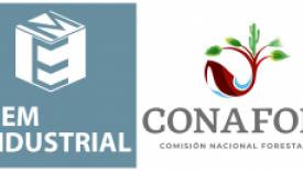mem-conafor-logos.jpg