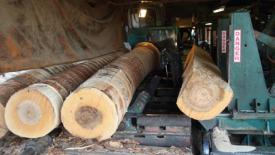 miller-sawmill-selma.jpg