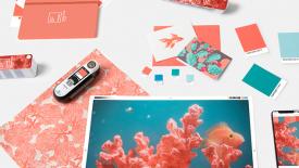 pantone-color-of-the-year-2019-living-coral-tools-graphics-packaging.jpg