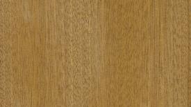 sapele-wood-exp1.jpg