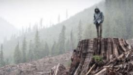 sierra-club-bc-fortest.jpg