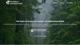 state-america-forests-website.jpg