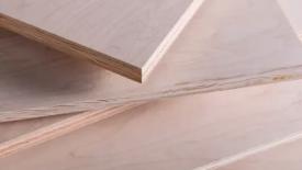 timber-products-hardwood-plywood.jpg