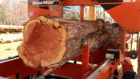 video-windfall-cedar.jpg