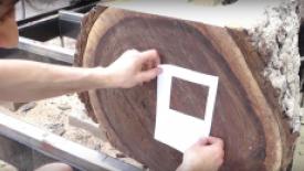 walnut-leg-stock-video.jpg