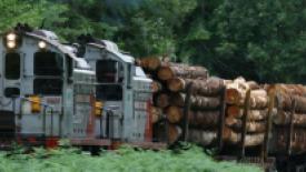 wfp-englewood_log.jpg
