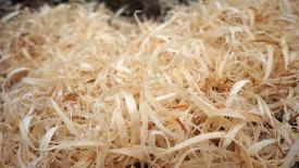 wood-shavings.jpg