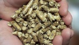 woodpellets.jpg