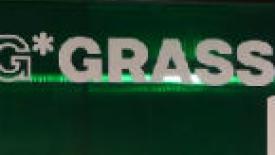 grass-video-145.jpg
