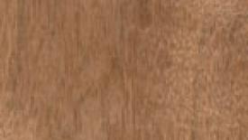 indianlaurel145.jpg