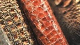 interzum-2012-textile-photo-thumb.jpg
