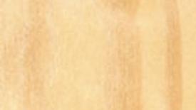 longleaf-pine-145.jpg