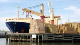 lumber-exporters.jpg