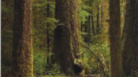 panelprocessing145.jpg