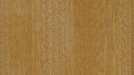 sapele145.jpg