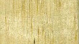 0510balsa_hpi.jpg