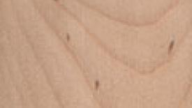 0801FDMpaperbirch_hpi.jpg