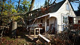 1302CMFsandy1.jpg
