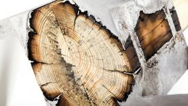 Hilla-Shamia-Wood-Metal-molten.jpg