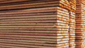 New Zealand Sees Boom in Timber Exports