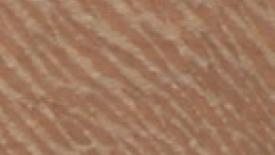 sycamore145.jpg