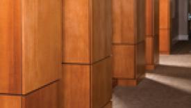 veneer145.jpg