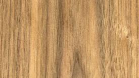 walnut-american black.jpg