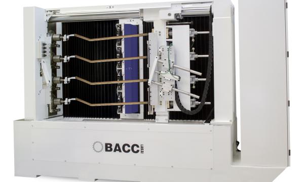 Bacci