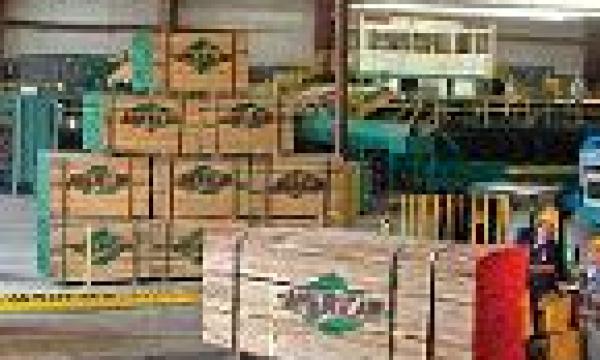 American_Lumber_thumb.jpg