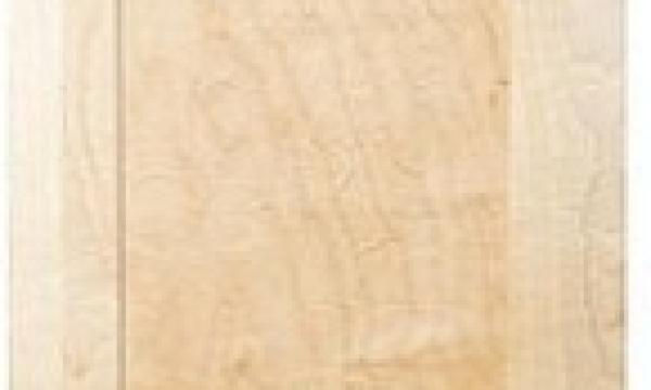 Elias-Woodwork-Shaker-Doorthumb.jpg