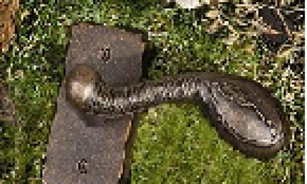 LongleafCollection_MillstoneBobTimberlake_naturehardware_thumb.jpg