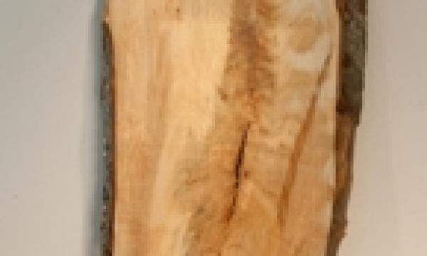 Osborne-Wood-Products-live-edge-wood-slab-401012-145.jpg