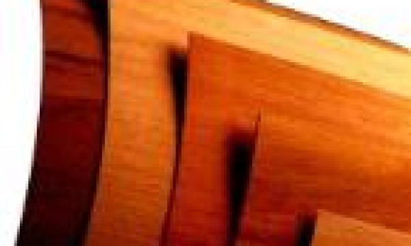 Outwater-Plastics-Wood Veneer-145.jpg