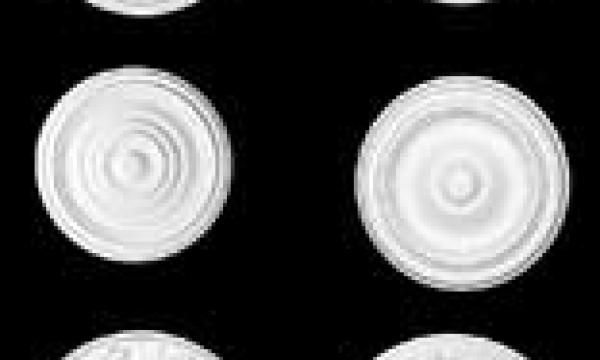 Ceiling Medallions