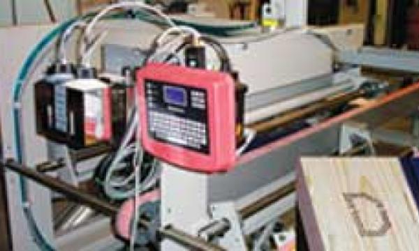 Gang Ripsaw Infeed System