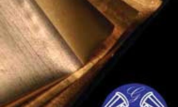 Goldenfold Flex Wrapping Paper