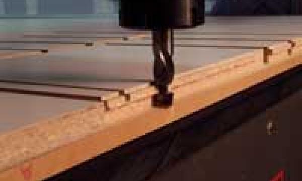 TenonCam-Picture11.jpg