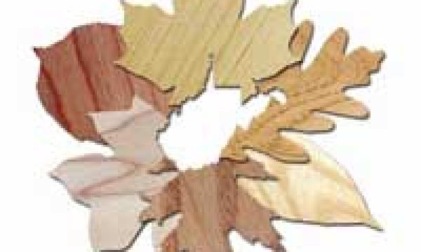 High-Demand Hardwoods