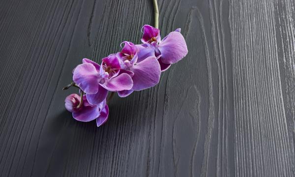 chemetal-interiorarts_6070_black_fresh.jpg