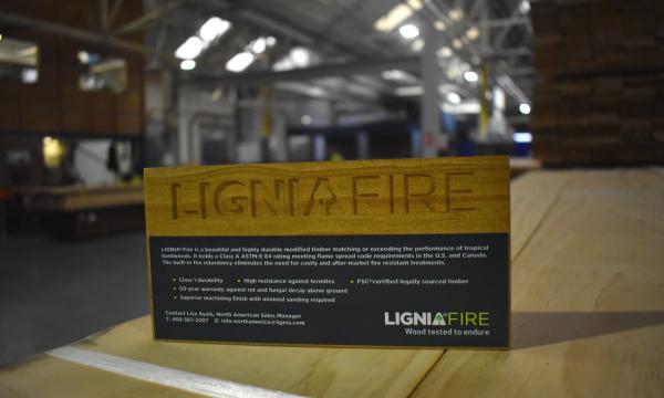 ligniar_fire.jpg
