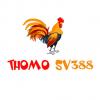 Profile picture for user Sv388