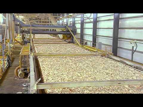 GP OSB plant.