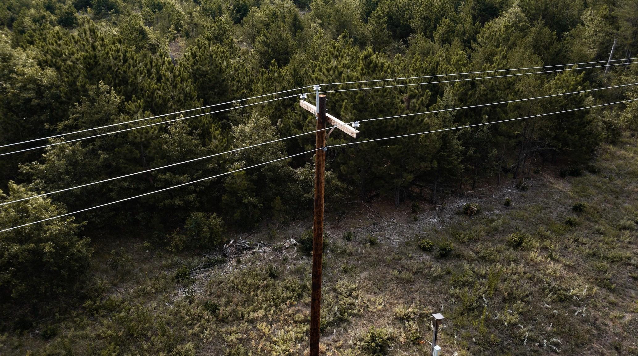 Bell Lumber expands utility pole operations with acquisition ...