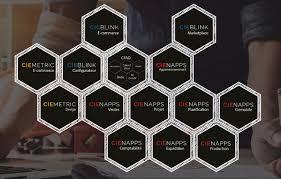 Cienapps ERP software