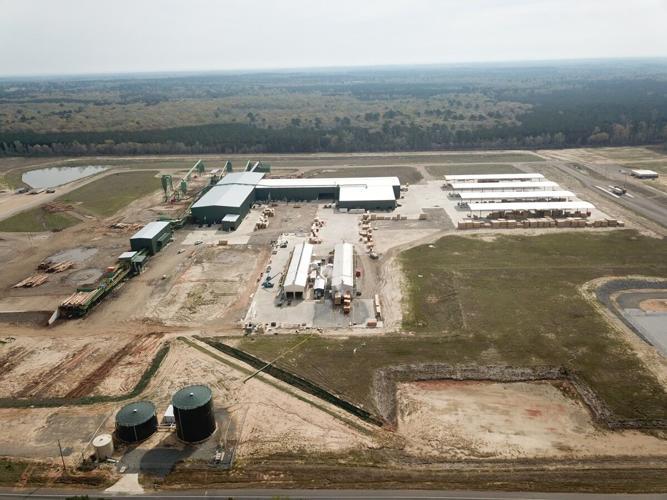 Teal Jones Plain Dealing Sawmill