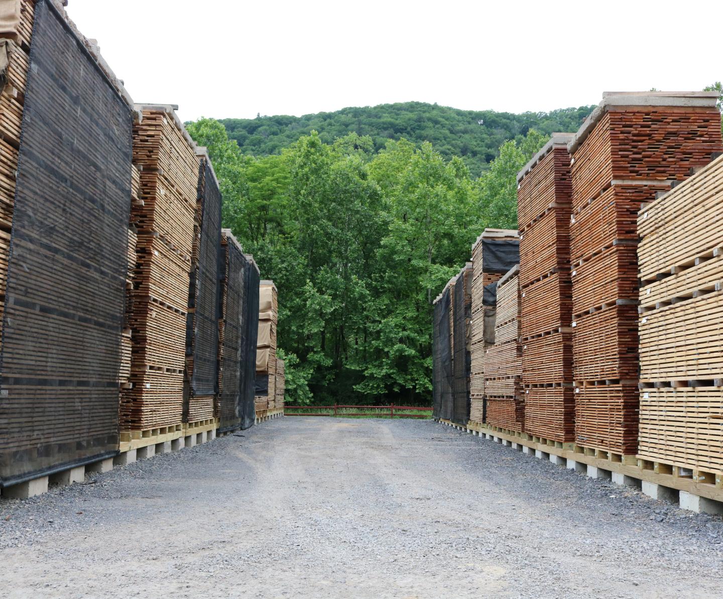 Rossi Hardwoods
