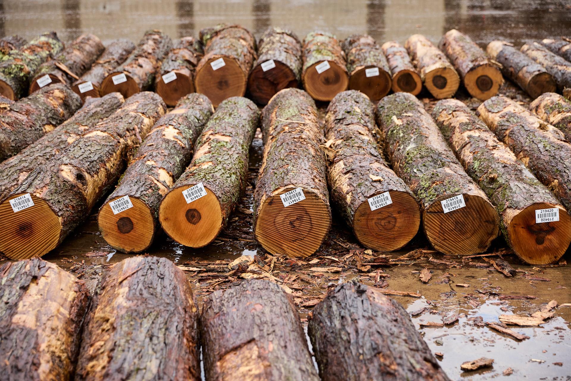 American Hardwood Assured