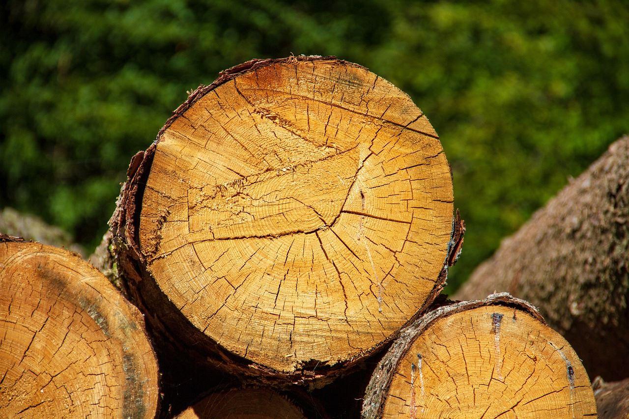 Spearfish South Dakota urban wood utilization program