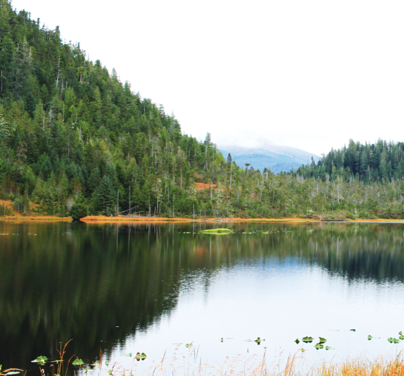 Shelter Cove Tongass National Forest Alaska