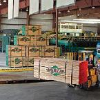 American_Lumber_thumb.jpg